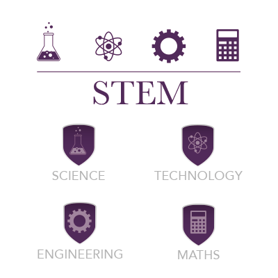 Furness Stem Brochure - Fiona Rose digital projects